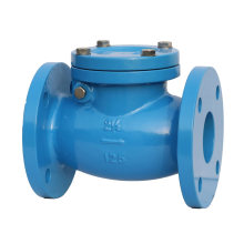 ANSI non return valve